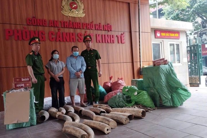 Khởi tố nhóm đối tượng buôn bán ngà voi và hàng cấm