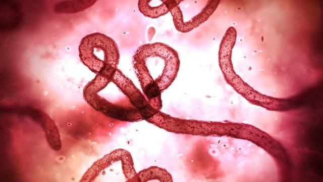 Ngành y tế Lâm Đồng kích hoạt các biện pháp phòng chống Ebola
