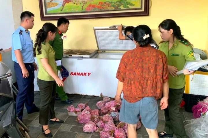 Đột kích kho cấp đông, thu giữ hàng trăm cá thể cò hương