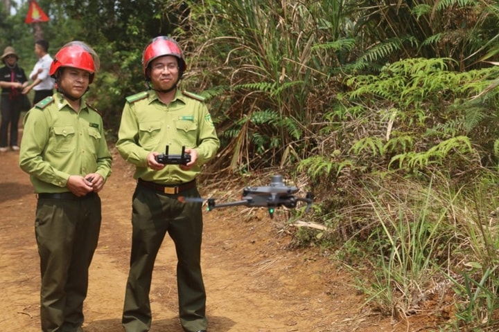 Ứng dụng flycam giữ rừng mùa khô ở Quảng Ngãi