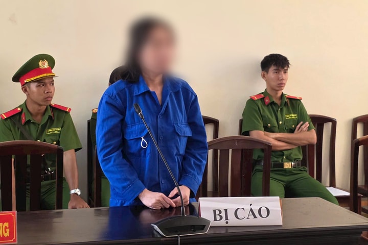 Lừa góp vốn rồi chiếm đoạt hàng trăm triệu đồng