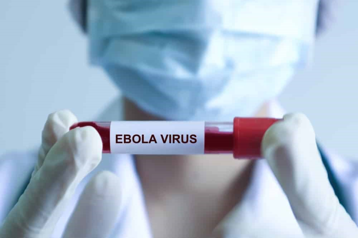 Mắc bệnh do virus Ebola thường có triệu chứng gì và điều trị ra sao?