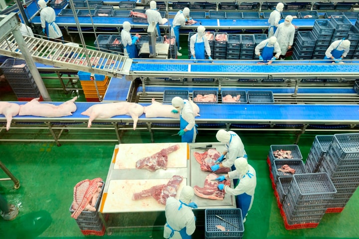 Xây dựng mô hình giết mổ tập trung và tăng cường kiểm soát thú y