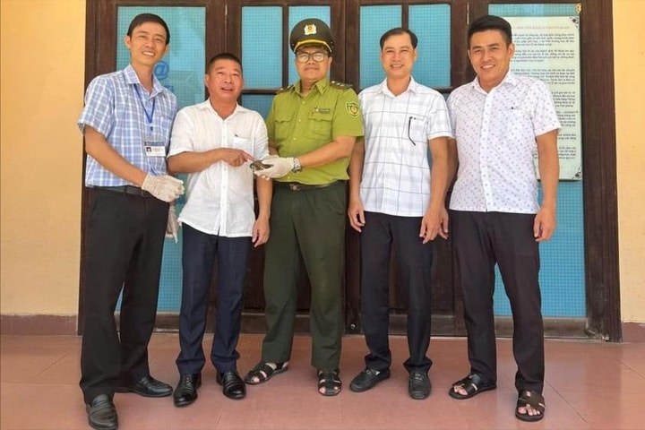 Tiếp nhận, tái thả rùa quý hiếm do người dân giao nộp