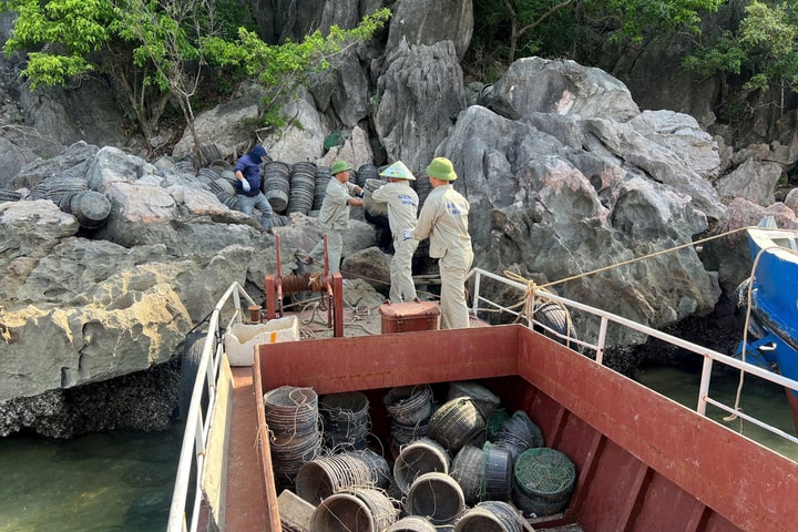 Thu gom hàng nghìn lồng bè trái phép trên vịnh Hạ Long