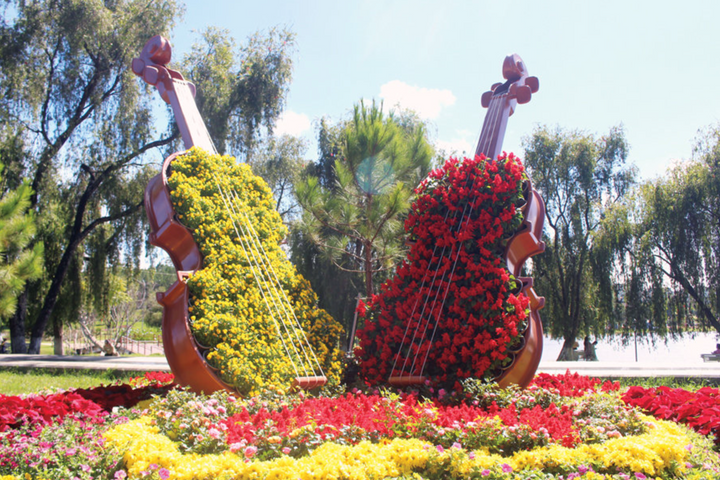 Lâm Đồng chuẩn bị cho Festival Hoa Đà Lạt