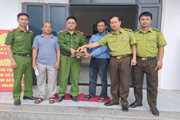 Người dân tự nguyện giao nộp rùa núi viền quý hiếm