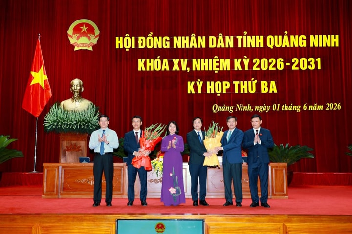 Quảng Ninh xem xét nhiều quyết sách chiến lược, kiện toàn nhân sự chủ chốt