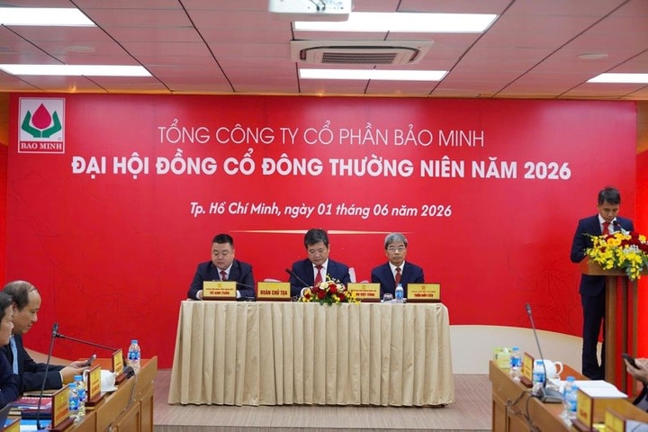 Bảo Minh (BMI) dự kiến tăng vốn điều lệ lên hơn 1.656 tỷ đồng