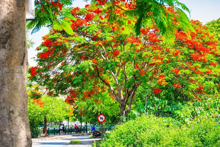 Thời tiết ngày 6/6: Nắng nóng gay gắt đổ bộ, có nơi chạm ngưỡng 38°C