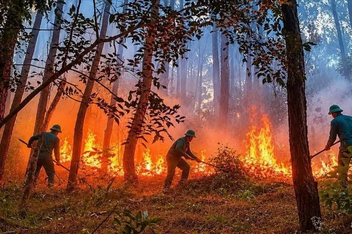 Liên tiếp cháy rừng, cháy nhà dân ở An Cựu giữa đợt nắng nóng