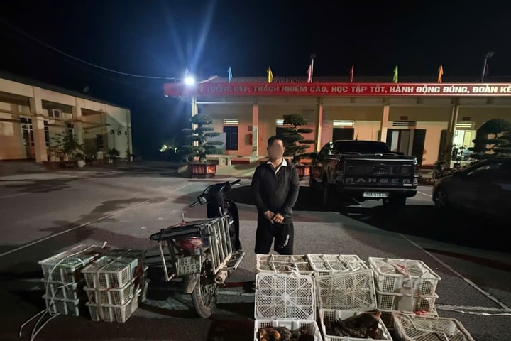 Bắt giữ đối tượng vận chuyển trái phép gia cầm giống vùng biên giới
