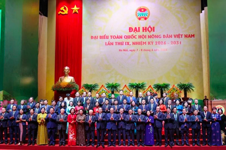 Hỗ trợ nông dân chuyển đổi số, phát triển sản xuất theo chuỗi giá trị