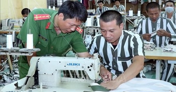 Đề xuất cho người chấp hành xong án phạt tù vay 100% chi phí xuất khẩu lao động