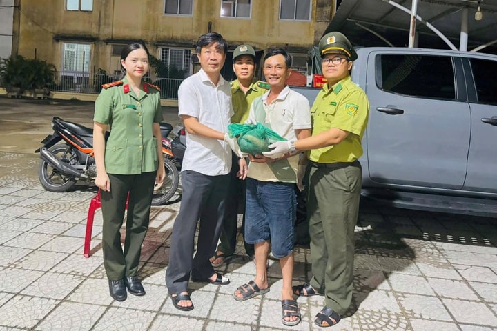 Người dân tự nguyện giao nộp cá thể tê tê Java quý hiếm