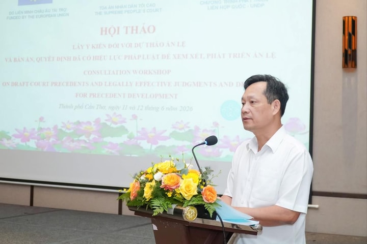TANDTC tổ chức Hội thảo lấy ý kiến đối với 42 dự thảo án lệ