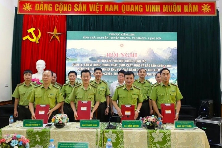 Bốn tỉnh Việt Bắc tăng cường phối hợp bảo vệ rừng vùng giáp ranh