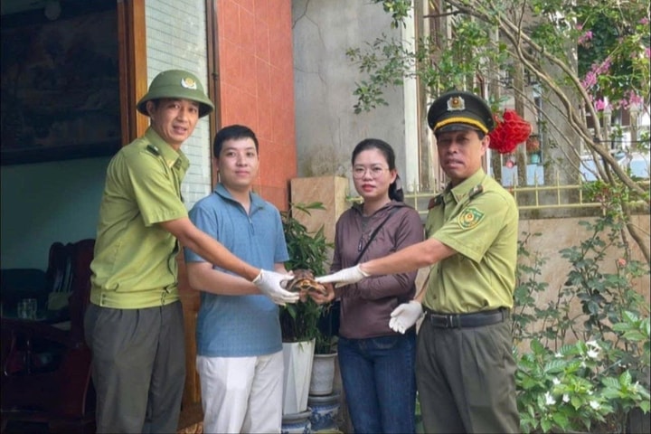 Tiếp nhận, bảo tồn hai cá thể rùa do người dân giao nộp