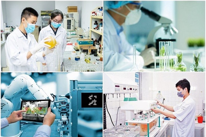 Đề xuất miễn tiền thuê đất cho các dự án đầu tư về công nghệ cao