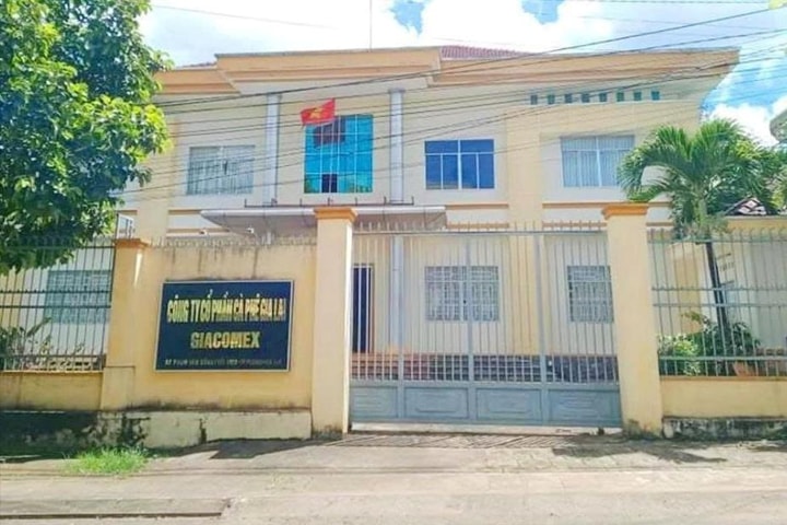 Thêm 3 bị can bị khởi tố trong vụ cổ phần hóa Công ty Cà phê Gia Lai