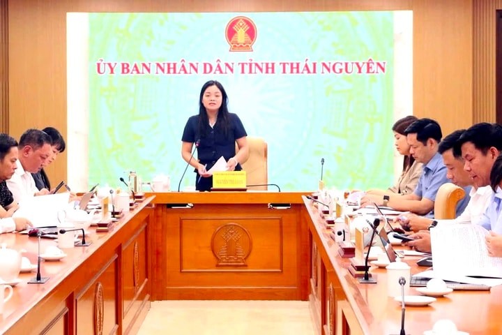 Thái Nguyên hướng tới Festival Trà Quốc tế
