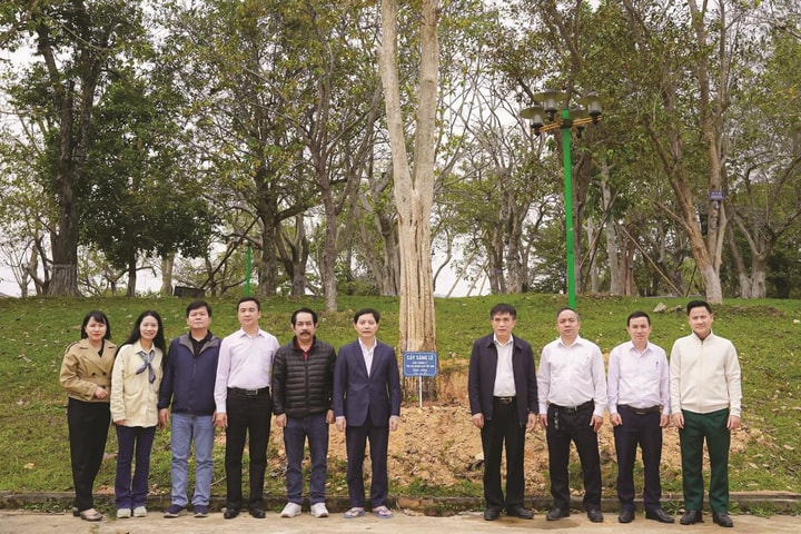 Tuyên truyền pháp luật từ đời sống thực tiễn