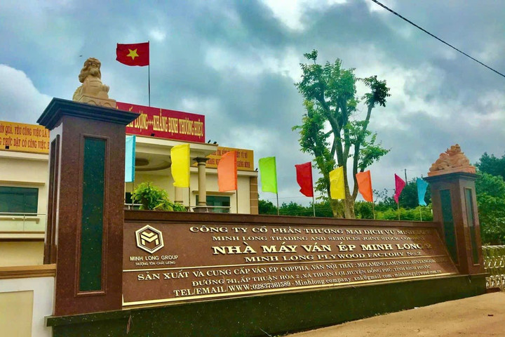 Ván ép Minh Long khẳng định vị thế trong ngành vật liệu gỗ công nghiệp