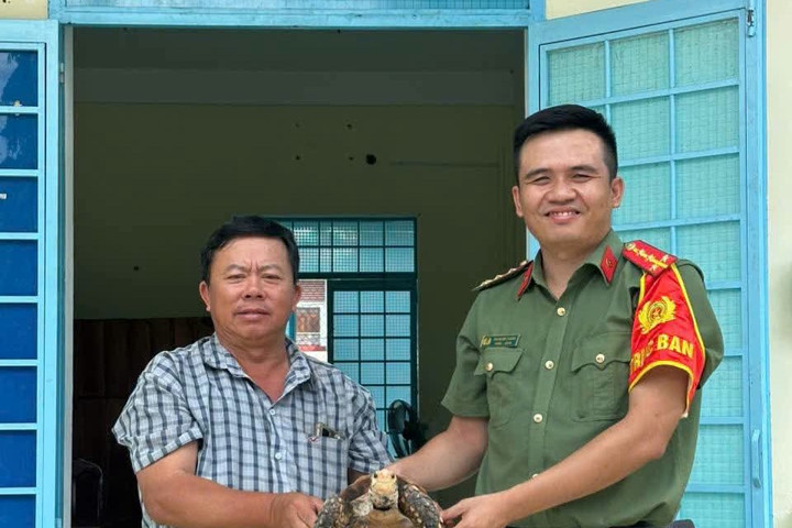 Người dân giao nộp 3 cá thể rùa quý hiếm