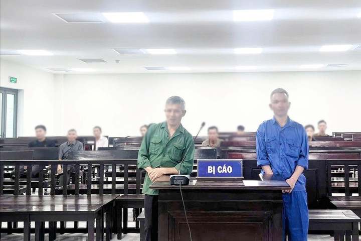 Lưỡi rạ gặt mùa cay đắng