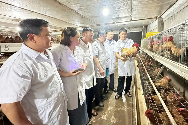 Đừng để đến khi mất thương hiệu mới nghĩ đến sở hữu trí tuệ