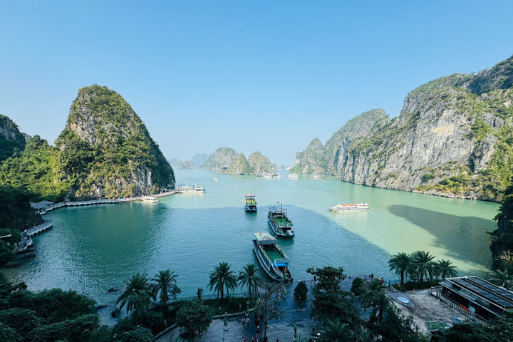 Quảng Ninh tạm ngừng cấp phép tàu hoạt động trên biển