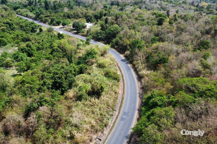 Đề xuất cao tốc hơn 200km nối biên giới rừng xuống biển