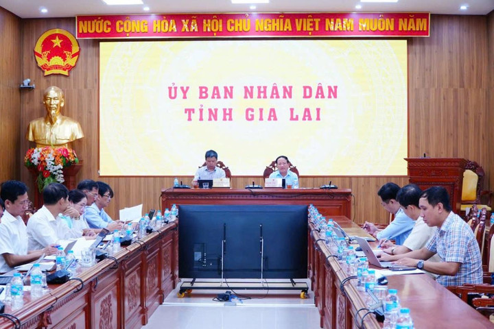 Chủ tịch tỉnh Gia Lai chỉ đạo tháo gỡ khó khăn, thúc đẩy kinh tế tư nhân phát triển