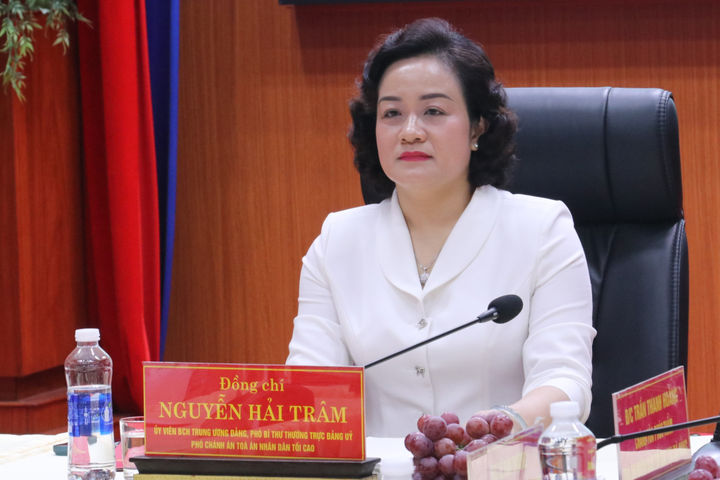 Phó Chánh án TANDTC Nguyễn Hải Trâm làm việc với Tòa Phúc thẩm TANDTC tại Đà Nẵng