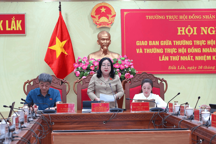 HĐND các cấp Đắk Lắk thông qua hơn 2.000 nghị quyết