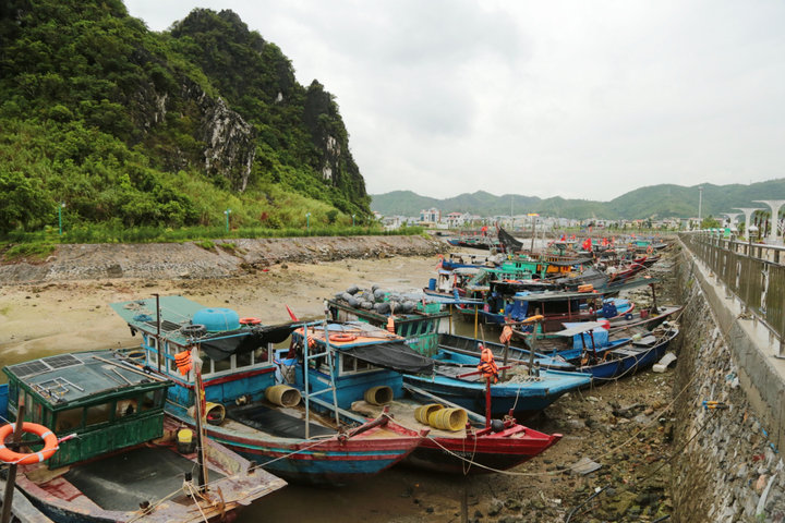 Quảng Ninh yêu cầu chủ động ứng phó mưa lớn, lũ quét, sạt lở đất