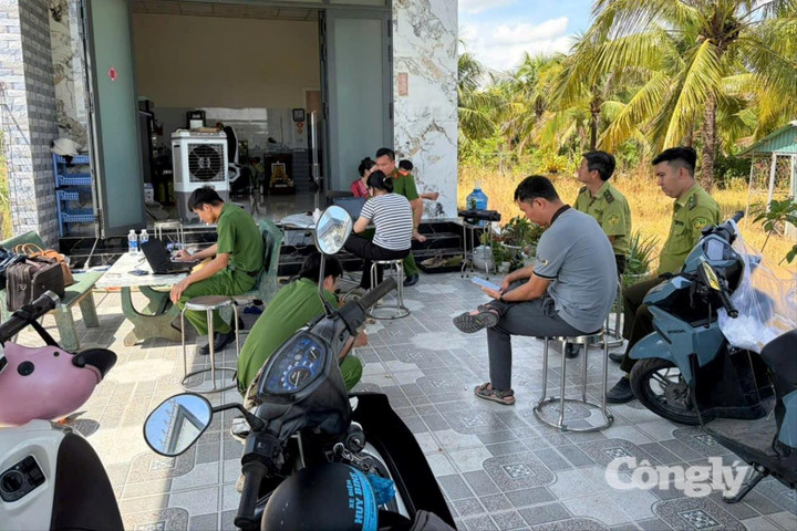 Phát hiện 104 cá thể động vật hoang dã không rõ nguồn gốc
