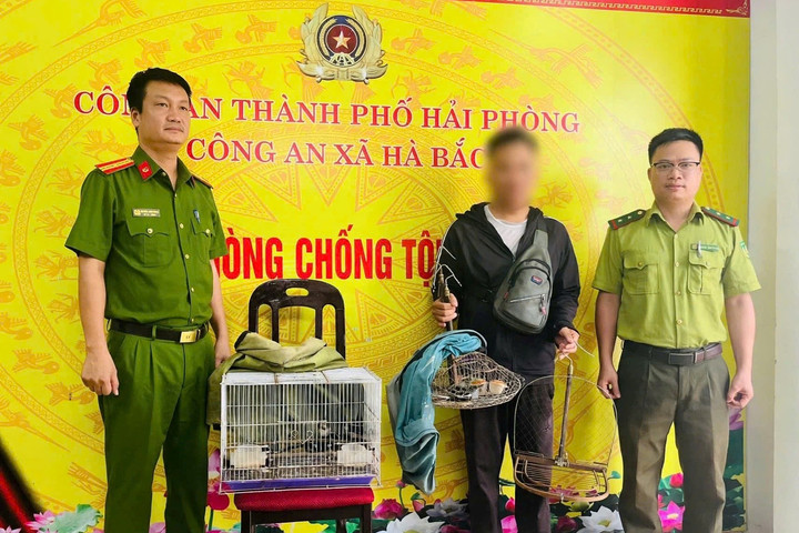 Phát hiện, xử lý đối tượng bẫy chim hoang dã