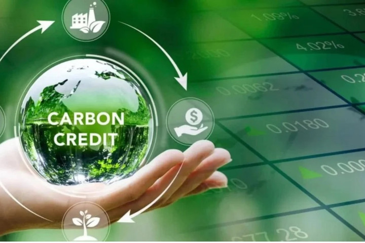 Nhu cầu sản xuất và cung ứng, bù trừ tín chỉ carbon rất lớn