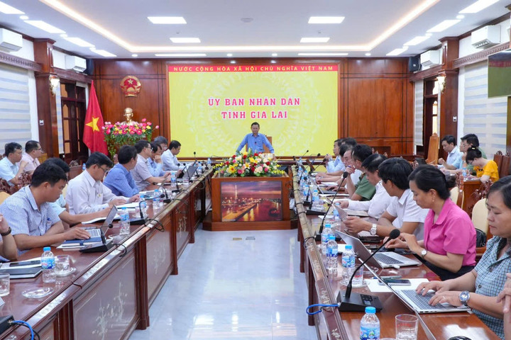 Phó Chủ tịch UBND tỉnh Gia Lai “thúc” tiến độ dự án cao tốc Quy Nhơn - Pleiku
