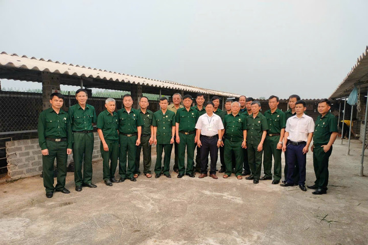 Giúp đồng đội thoát nghèo: "Mệnh lệnh" từ trái tim người lính