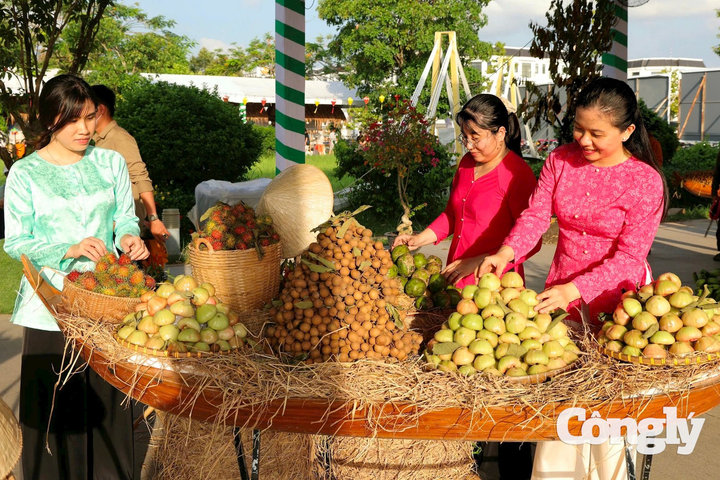 Đồng Tháp: Hoàn thành tốt các mục tiêu giai đoạn mới