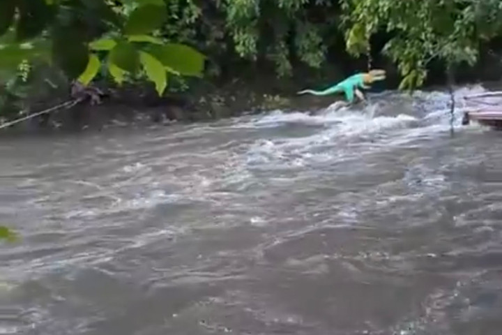 Làm rõ vụ nước suối đổi màu, bốc mùi hôi tanh
