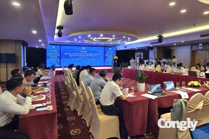 Thúc đẩy chuyển đổi xanh từ thực hành kinh doanh có trách nhiệm