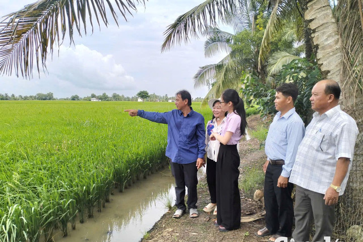 Để mỗi đồng vốn chính sách phát huy giá trị vì người dân