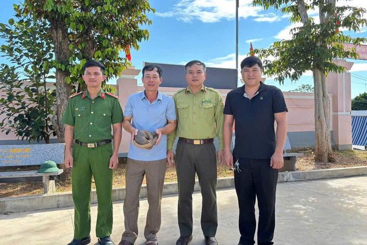 Người dân tự nguyện giao nộp cá thể tê tê Java quý hiếm