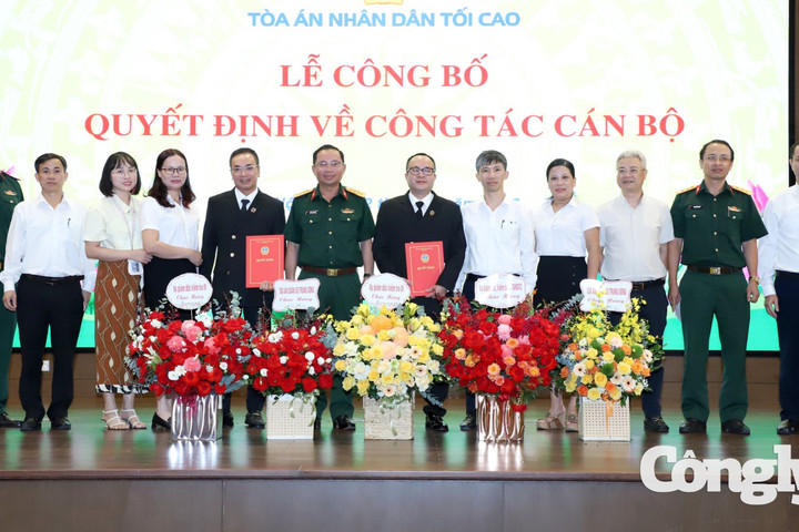Bổ nhiệm lãnh đạo Tòa Phúc thẩm tại Hà Nội và Vụ Giám đốc, kiểm tra II