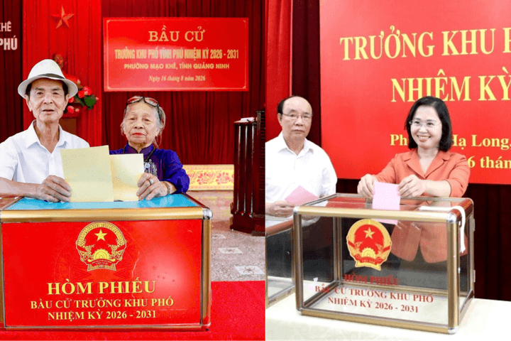 Gần 400.000 cử tri Quảng Ninh tham gia bầu cử trưởng thôn, khu phố