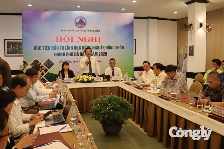 Đà Nẵng biến lợi thế đất, rừng, biển thành chuỗi giá trị mới