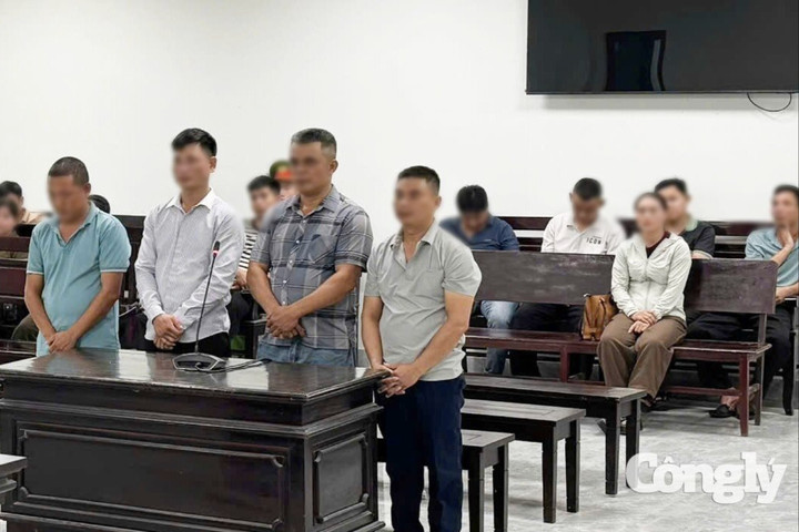 Tuyên án đường dây buôn lậu hổ xuyên quốc gia